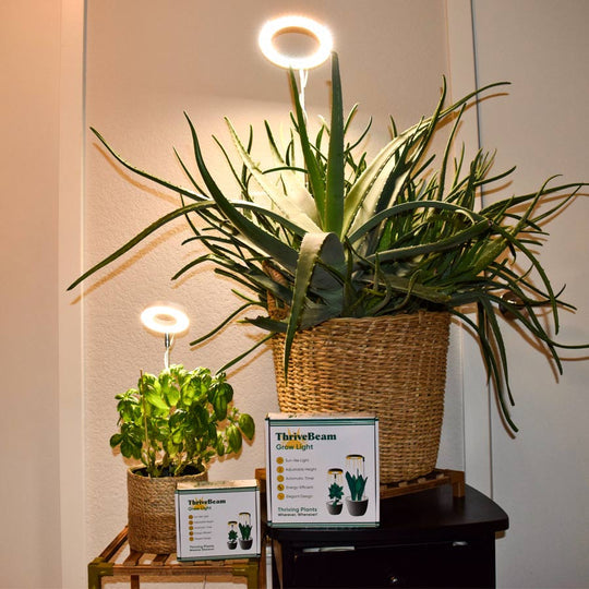 Furendi Pflanzenlampe