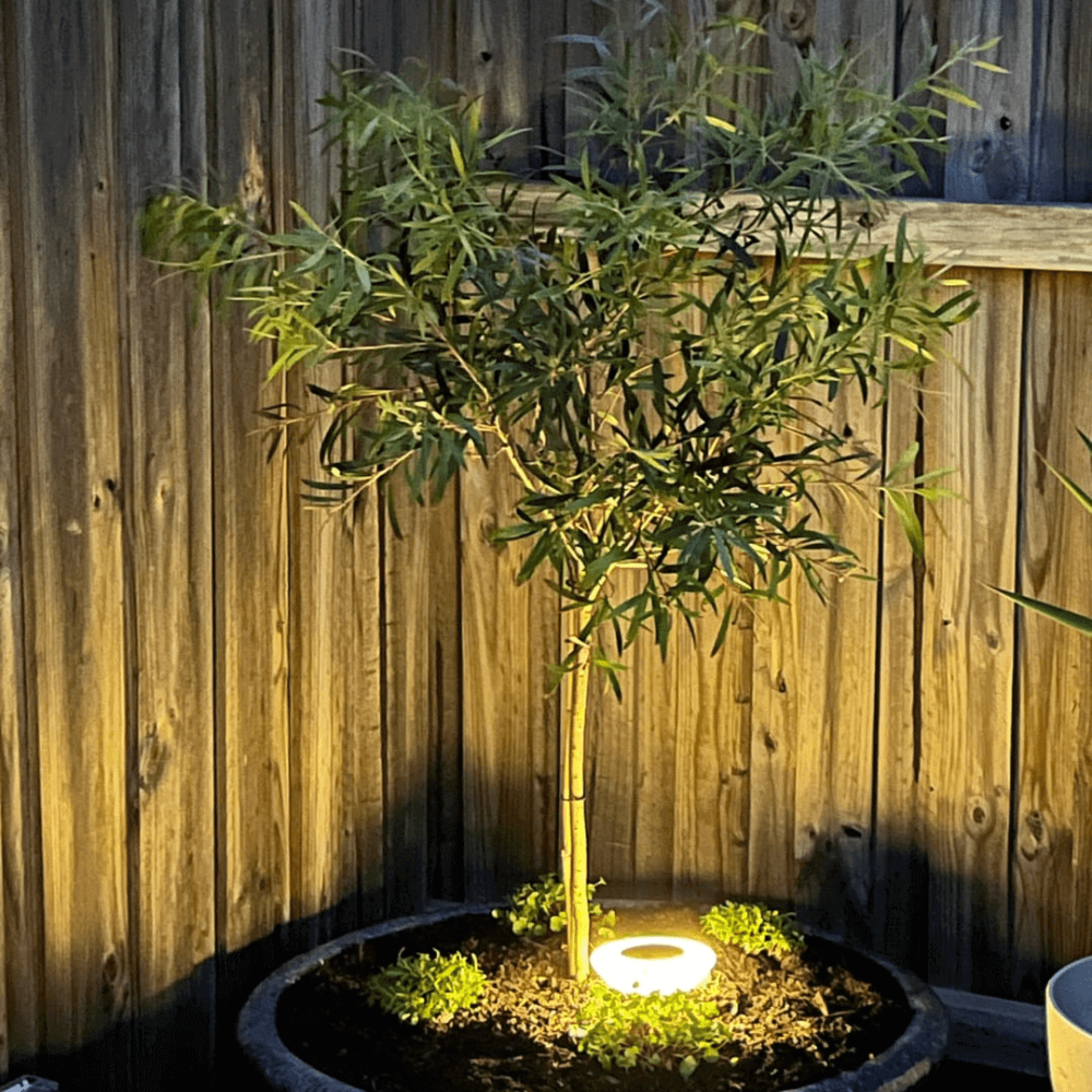 Kabellose Solar Gartenlampen